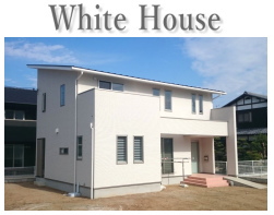 white house