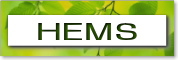 ｈｅｍｓ
