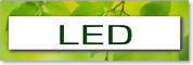 ＬＥＤ